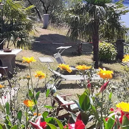 House Paradise Apartman *