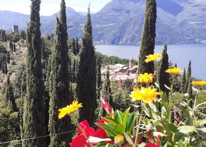 House Paradise Apartment Perledo